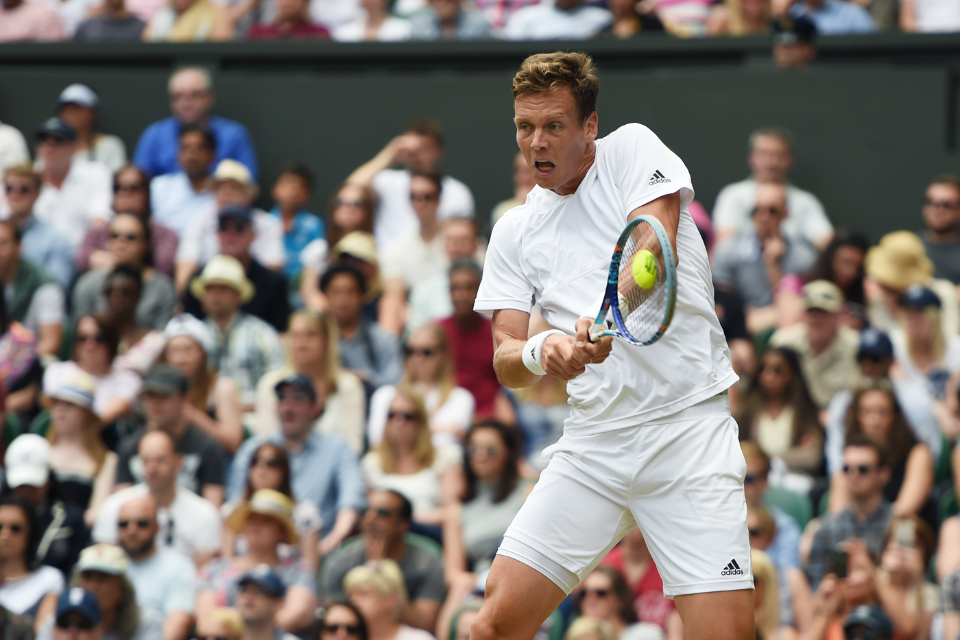 Berdych asserts his authority