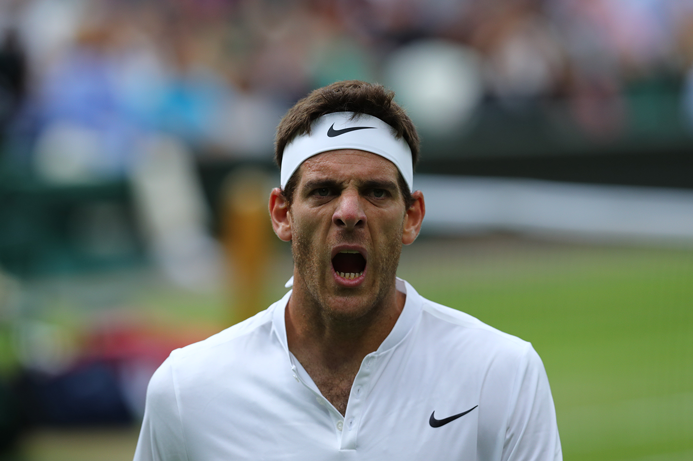Pouille ends del Potro fairytale