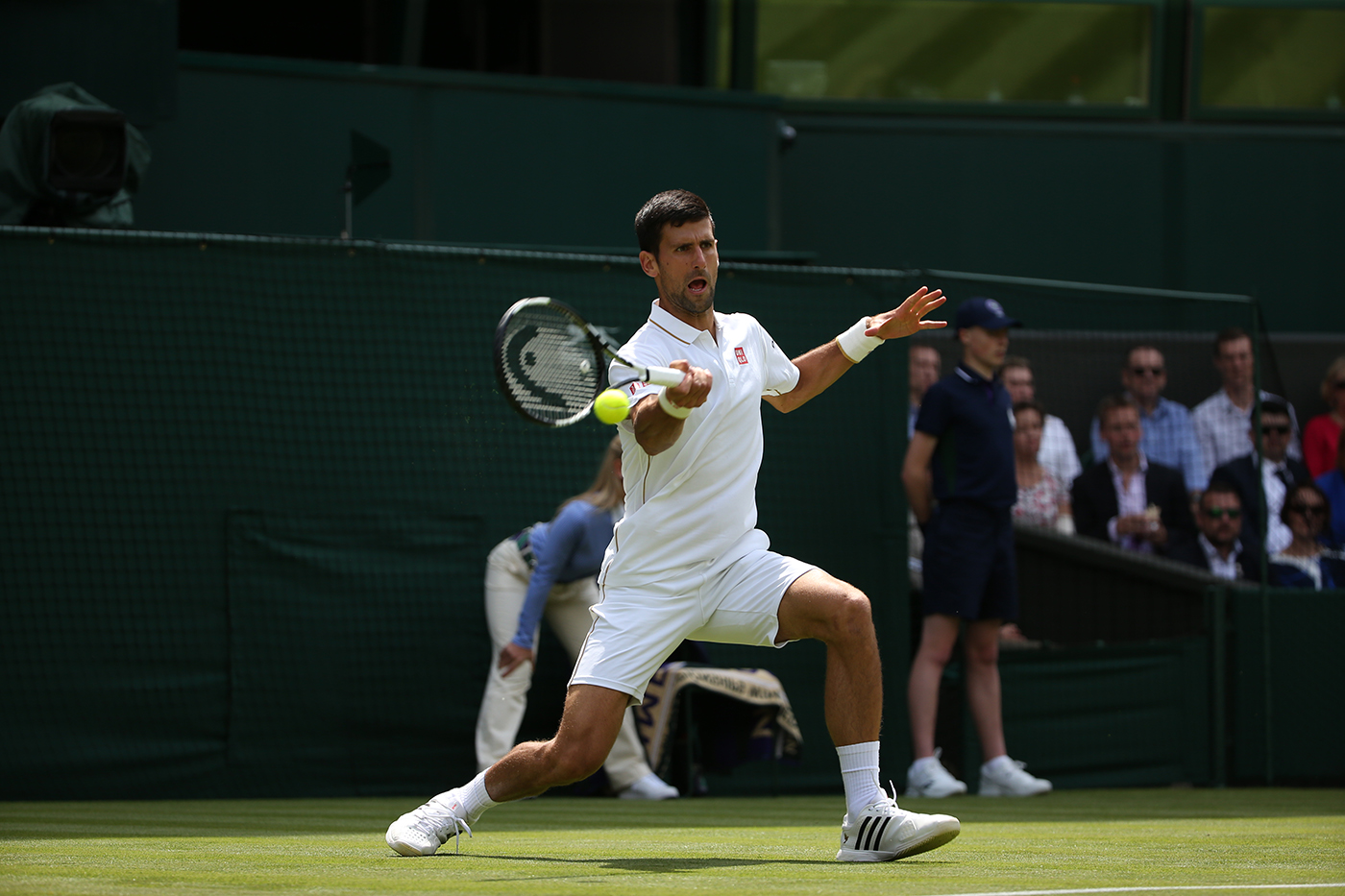 Djokovic avoids spot of bother against Ward