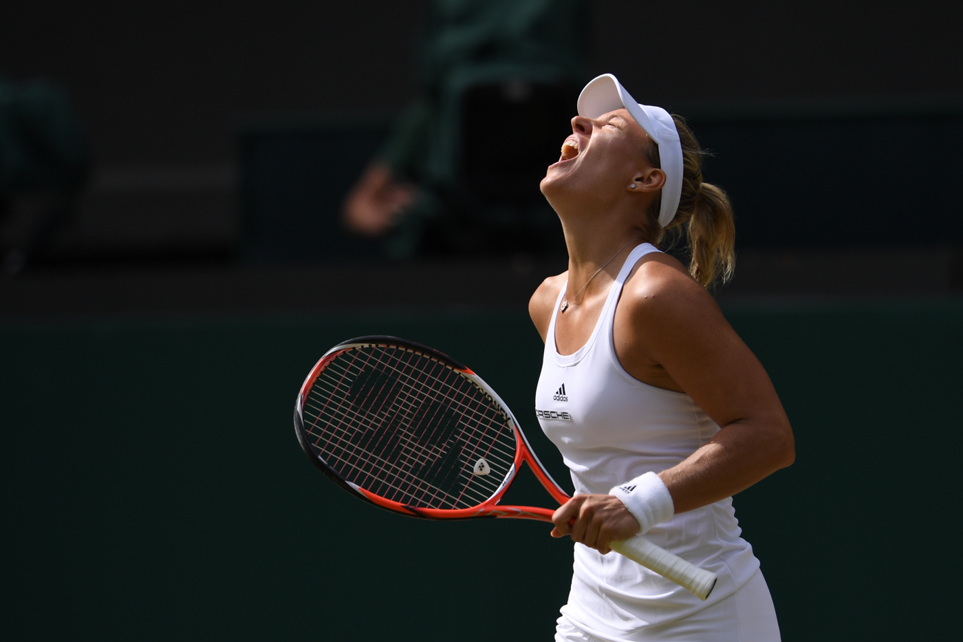 Confident Kerber ends Venus fairytale