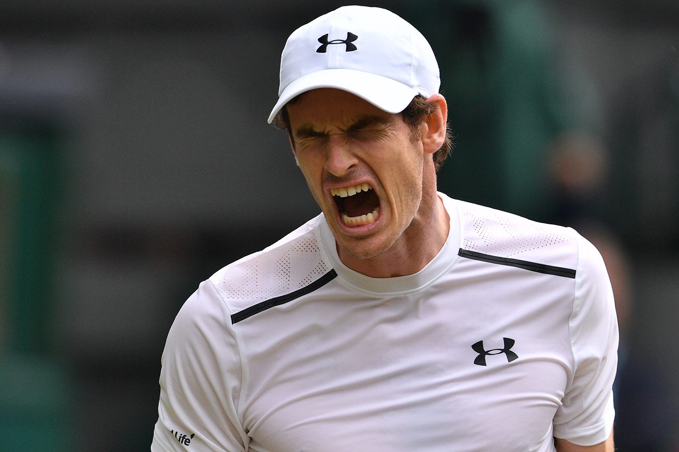 Murray moves into top gear
