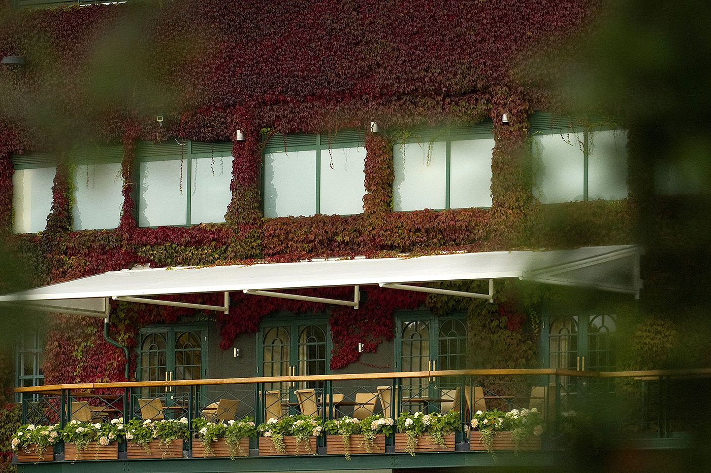 Terms of Reference announced for Independent Review of Integrity in Tennis