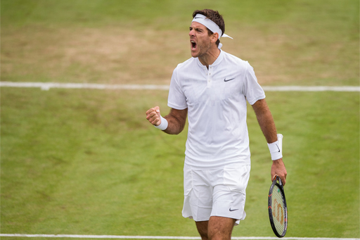 Del Potro poised to scale the heights