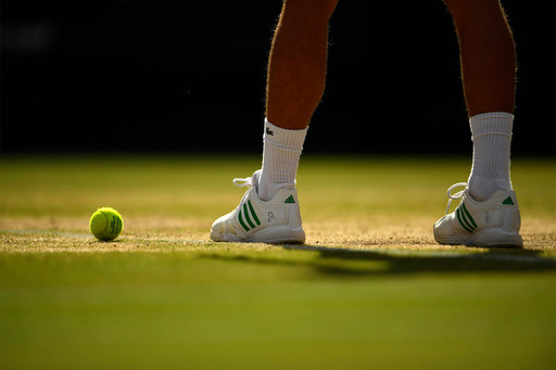 Novak Djokovic: Quarter-final