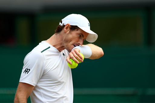 Andy Murray: Quarter-final