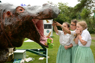 Educating Stuff: Hippopotennis