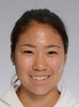 N. Hibino